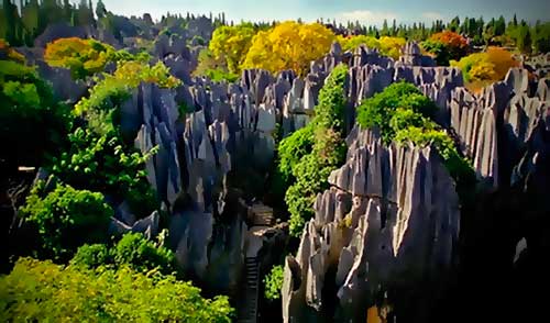 каменный лес