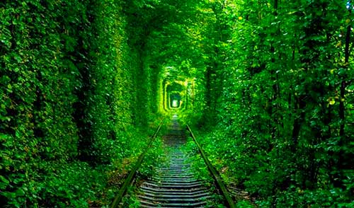 тоннель любви