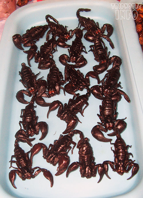 жареные скорпионы