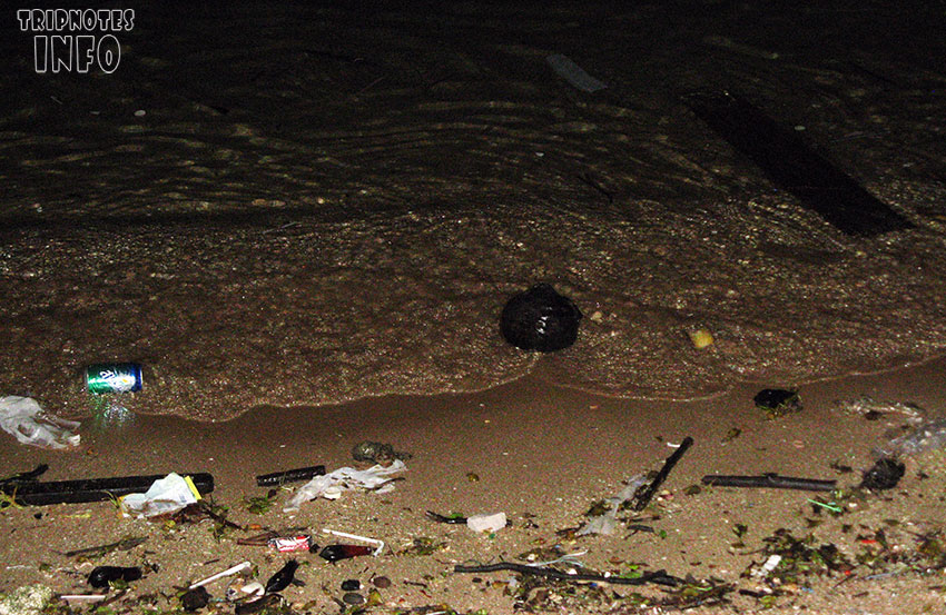 грязный пляж