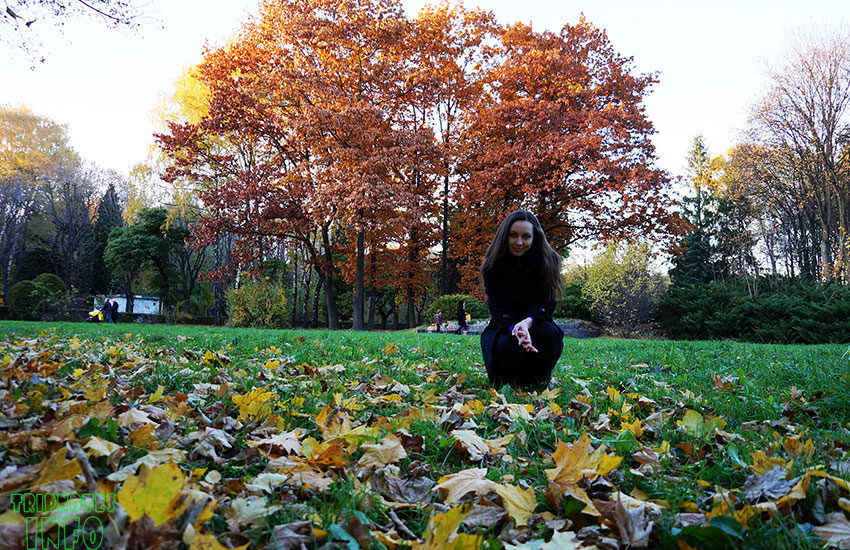 стрыйский парк