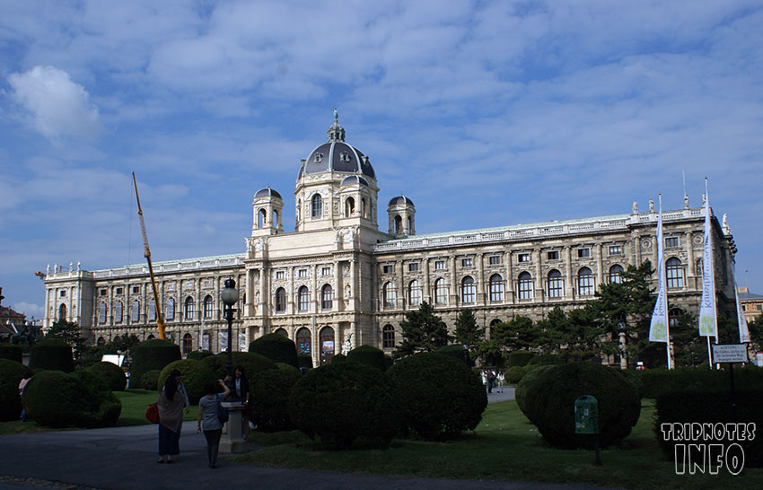 дворец вены